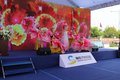 2019解放轻卡虎V麟V春季消费节