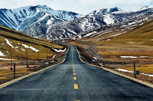 ���ϸ��������αװ&nbsp;ȫ��ֻ��������