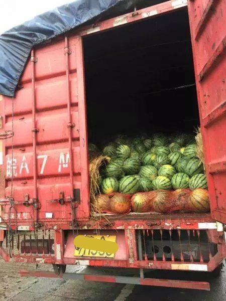 因高速亏本经营 拉绿通便被追缴过路费