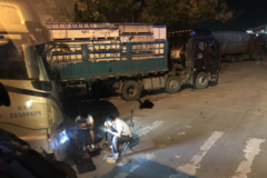 ����������������Ǯ�������˾�������