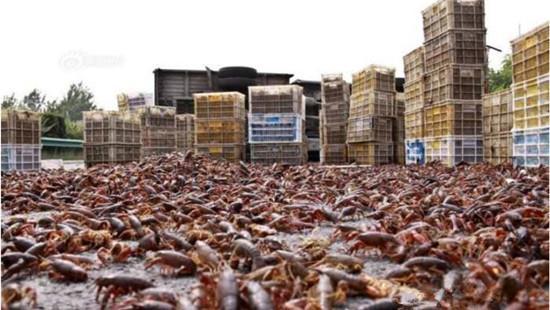 ���ش�������ٲ෭���Ի���Ҫ����ˮ��