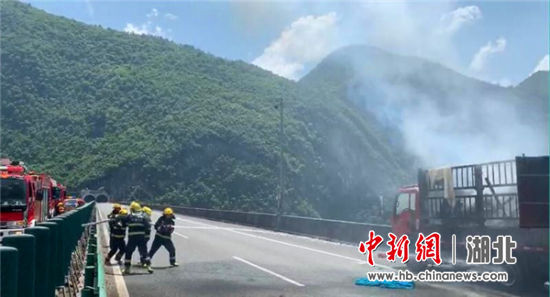 �������������ȼ&nbsp;·���ಿ�Ÿ�Ч����