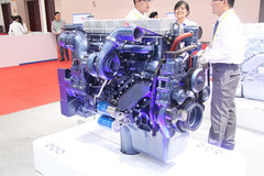 �������������������� Ϊɶѡ�������?