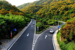 �����Լ������£�������ع�·��զ����