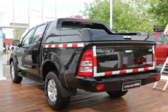 Ƥ������ĸ���Ŀ 2019�꽫ȫ�������