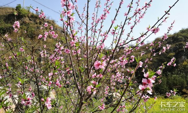 停车等货的闲暇时光,卡友们都在忙什么