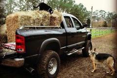 ����Ƥ���Ļ����й�����ʾ�������ǹ���