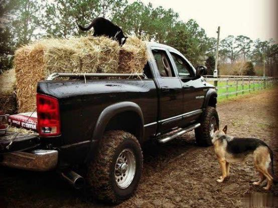 ����Ƥ���Ļ����й�����ʾ�������ǹ���