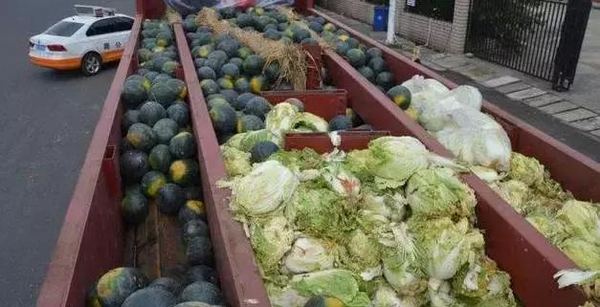 20����˾�����Ҹ棺��������ͨ��̫����