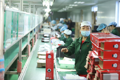 ����������ƴ��� ���� ���� ս������