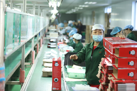 物流集锦：拼多多、京东、阿里618战报来了 谁赢了？