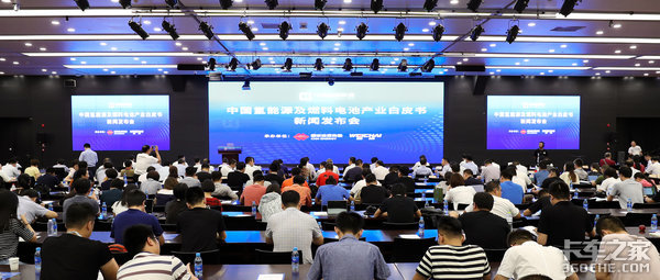 �й�����Դ��ȼ�ϵ�ز�ҵ��Ƥ�鷢����