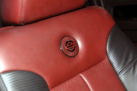 ���ع��״�άɭ��F-150Ƥ������ͼƬ��