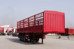 ���������� ���ᵥ̥��դ���ּ�8.5��Ԫ