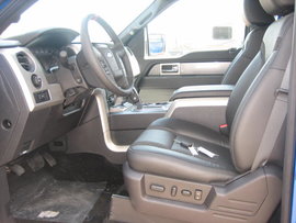 ��ɫ�ɶ�ѡ&nbsp;��������F-150Ƥ���ֳ�����