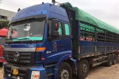 Ϊ��ˢд��ƵƵ������������������ģ�