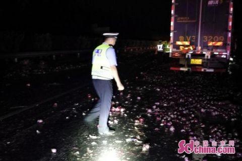 ���ڸ���������������׷β&nbsp;�������·