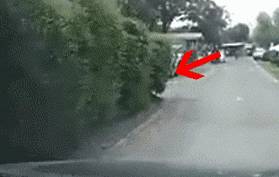 �ȡ����ɡ�������ʤ�����ٳ�����������