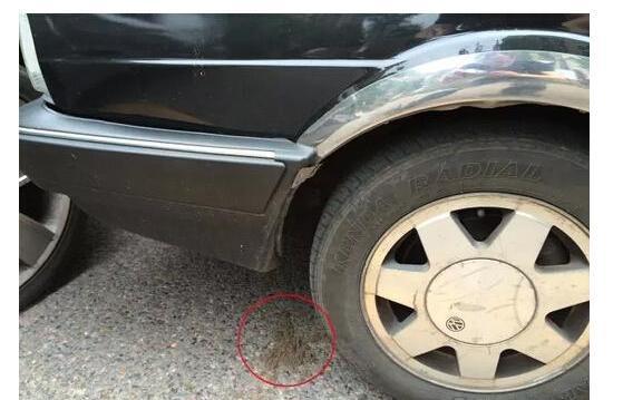 �������ѣ������¹ʺ�Ӧ������������Ƭ