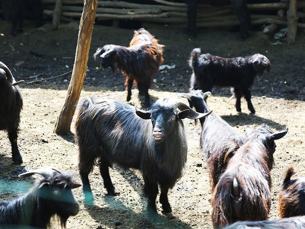 ���ɽ������&nbsp;�������Ʒ��������ˡ�