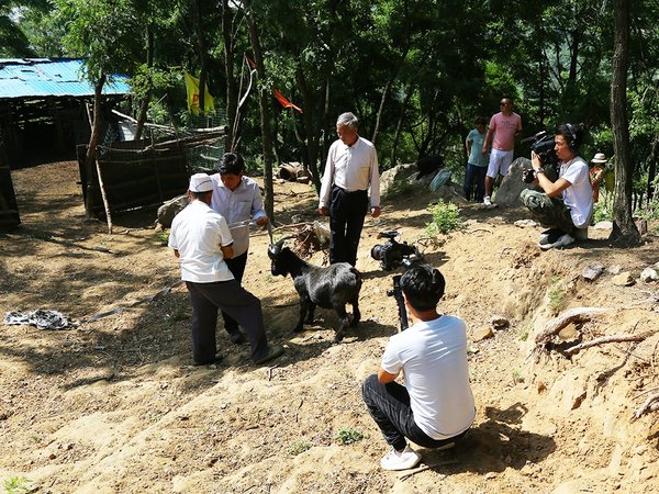 ���ɽ������&nbsp;�������Ʒ��������ˡ�