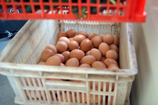 ���ɽ������&nbsp;�������Ʒ��������ˡ�