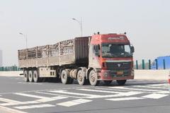 ���ߣ�ɽ��2020������������ͳ�ð����