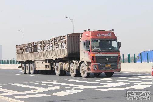 ���ߣ�ɽ��2020������������ͳ�ð����