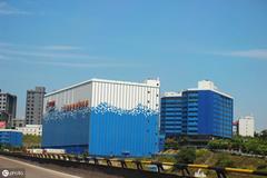 2019�������� �г���״����չ���Ʒ���