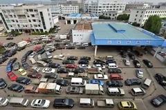 ��֪ʶ�����������㻹ɵɵ�ֲ������