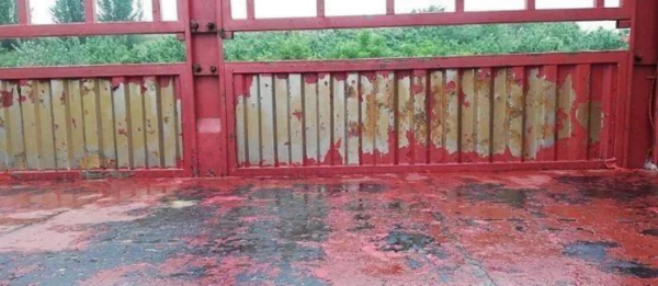 糟心!司机拉了一车小龙虾饲料,卸完货立马后悔了!