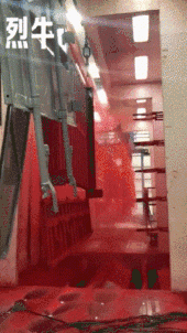 糟心!司机拉了一车小龙虾饲料,卸完货立马后悔了!