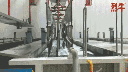 糟心!司机拉了一车小龙虾饲料,卸完货立马后悔了!