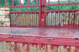 糟心！司机拉了一车小龙虾饲料，卸完货立马后悔了！