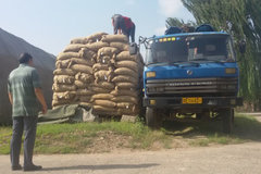 �������ܳ�Σ���ķ���˾��������Щ����