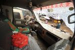 拉车门盗窃？大家一定要锁好自己的车门