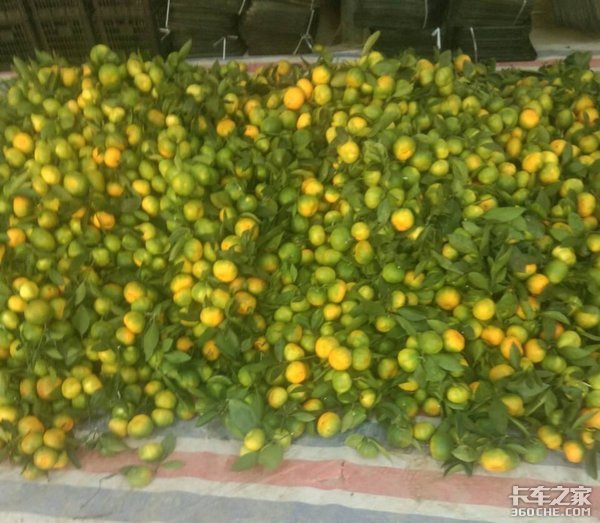 货主拒付运费,卡车司机能否扣留货物?