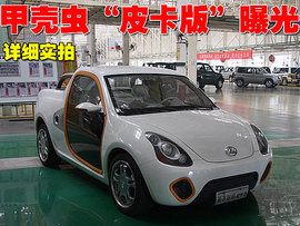 甲壳虫“皮卡版”图秀