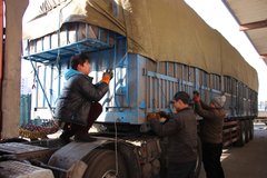 ��·������ҵת������ ��˾����ɶ�ô�