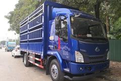 ���ֳ�����α��� ��������5����������