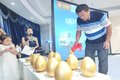 20台！温州HOWO轻卡科技版上市品鉴会