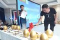 20台！温州HOWO轻卡科技版上市品鉴会