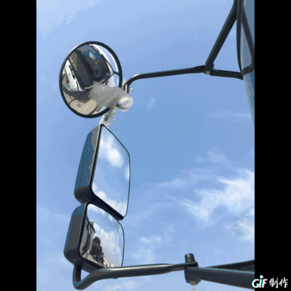 ����������&nbsp;����һ����������������