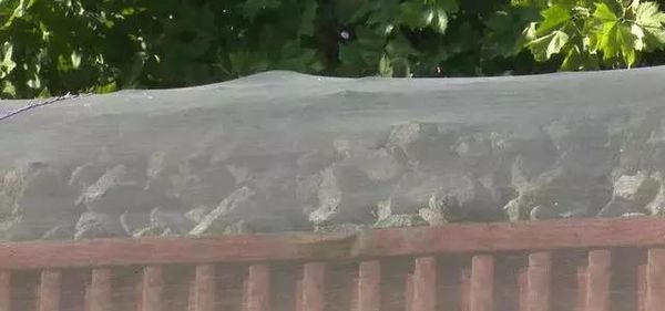 ���ش����ð'�������ר�ó�'&nbsp;&nbsp;�÷���