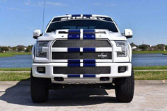 ݻǿ F150 shelbyƤ