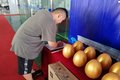 Ծ ԾСS70γ