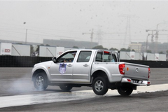 Ƥ�����ϵĸ��ر����� ���ײ�Ҫȥ����