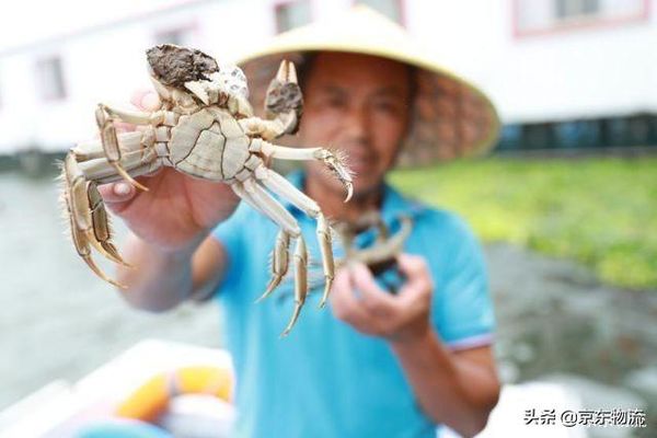 �������������'Эͬ��'&nbsp;���4Сʱ��з