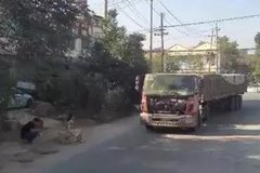 ·�Ͼ��֡�ƽͷ���� ר�ŶԸ��޸߸ˣ�