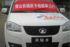 �ɶ���ɽ���Ƿ翥Ƥ�� ���ŷ��������